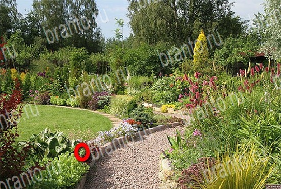 помощь на игру Найди кота Уровень 2644