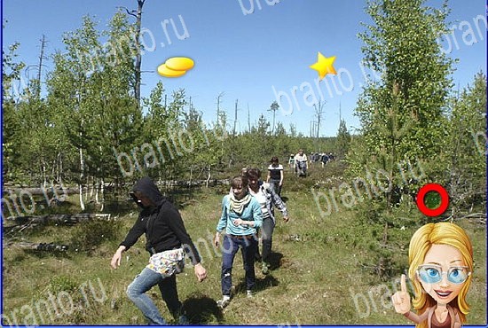 ключи на игру Найди кота Уровень 2647