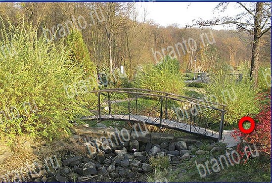 сборник ответов на игру Найди кота Уровень 2648