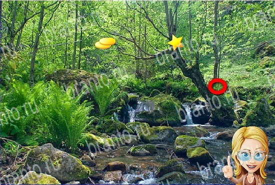 решебник на игру Найди кота Уровень 2649