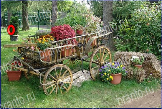 Найди кота игра ответы Уровень 2650