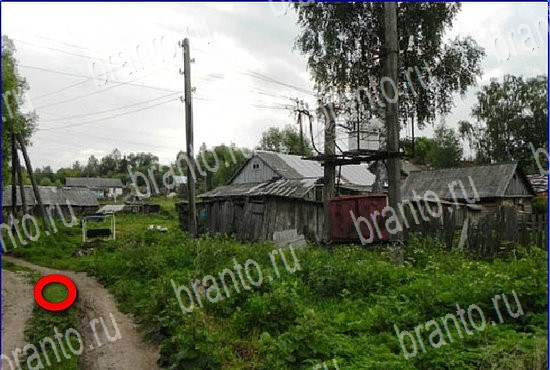 Найди кота игра в Одноклассниках ответы Уровень 2651