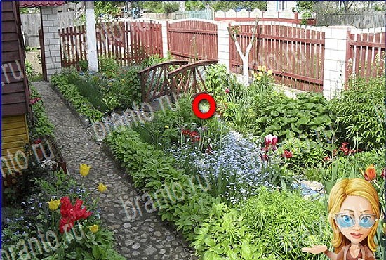 ответы на игру Найди кота Уровень 2653