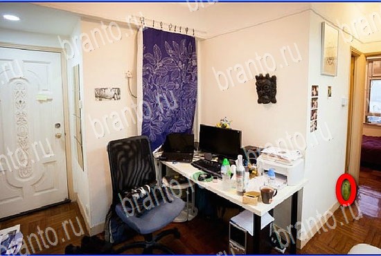 ответы на игру Найди кота Уровень 2664