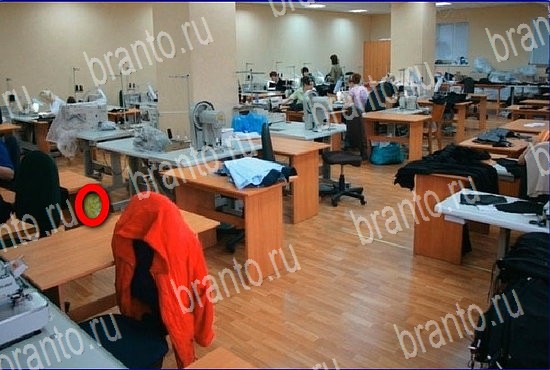 фотоответы на игру Найди кота Уровень 2666