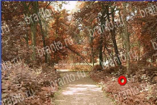 Игра Найди кота в Одноклассниках решения Уровень 2673