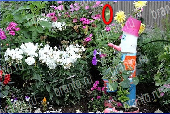 Игра Найди кота в Одноклассниках помощь Уровень 2674