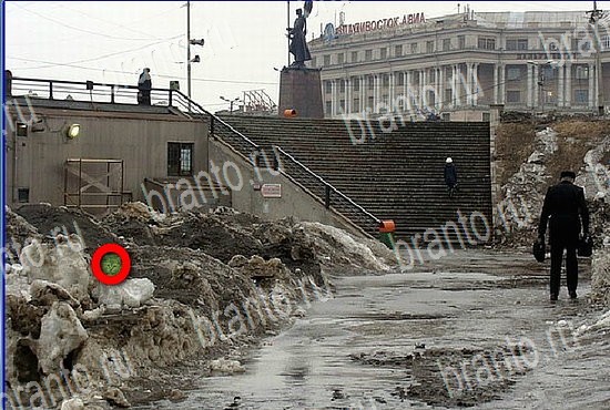 Игра Найди кота в Одноклассниках подсказки Уровень 2676