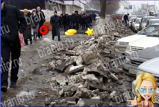 Игра Найди кота в Одноклассниках ответы Уровень 2677