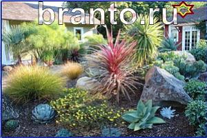 ответы на игру Найди кота Уровень 1147