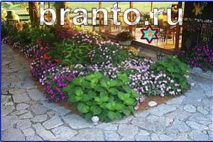 ответы на игру Найди кота Уровень 1156