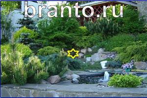 ответы на игру Найди кота Уровень 1162