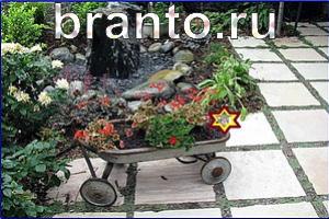 ответы на игру Найди кота Уровень 1184