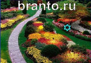 ответы на игру Найди кота Уровень 1241