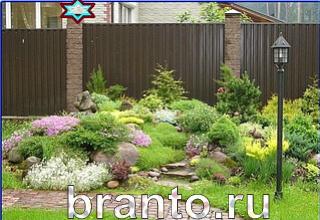 ответы на игру Найди кота Уровень 1242