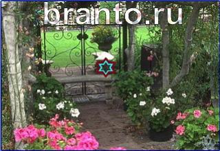 ответы на игру Найди кота Уровень 1244