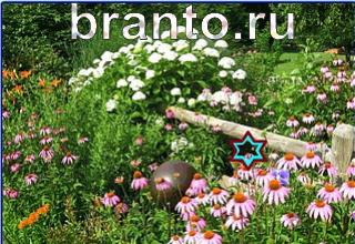 ответы на игру Найди кота Уровень 1245