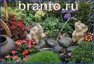 ответы на игру Найди кота Уровень 1247