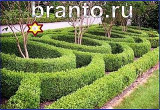 ответы на игру Найди кота Уровень 1248