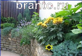 ответы на игру Найди кота Уровень 1249