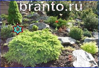 ответы на игру Найди кота Уровень 1250