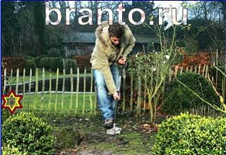 ответы на игру Найди кота Уровень 1251