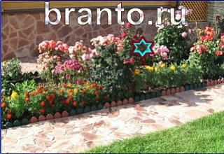 ответы на игру Найди кота Уровень 1252