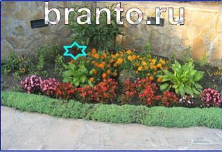 ответы на игру Найди кота Уровень 1253