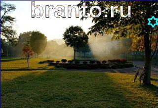 ответы на игру Найди кота Уровень 1254