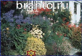 ответы на игру Найди кота Уровень 1255