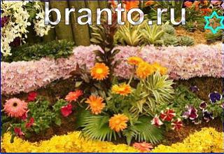 ответы на игру Найди кота Уровень 1256