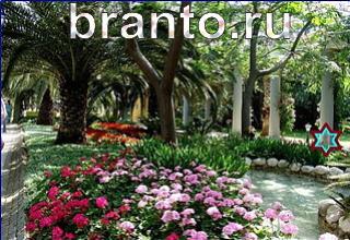 ответы на игру Найди кота Уровень 1258