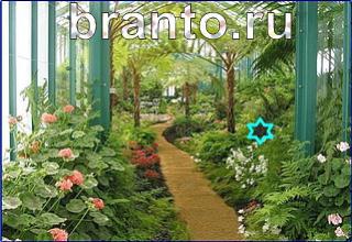 ответы на игру Найди кота Уровень 1262