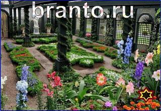 ответы на игру Найди кота Уровень 1263