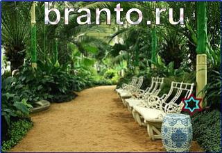 ответы на игру Найди кота Уровень 1264