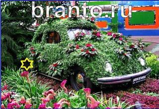 ответы на игру Найди кота Уровень 1266