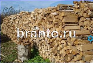 ответы на игру Найди кота Уровень 1405