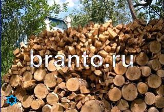 ответы на игру Найди кота Уровень 1406