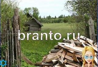 ответы на игру Найди кота Уровень 1408