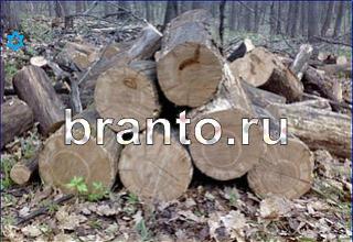 ответы на игру Найди кота Уровень 1409