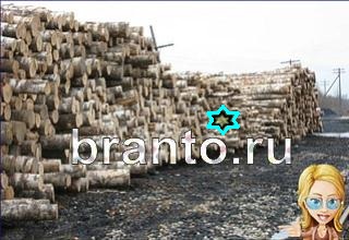 ответы на игру Найди кота Уровень 1416