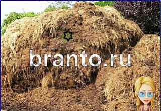 ответы на игру Найди кота Уровень 1427