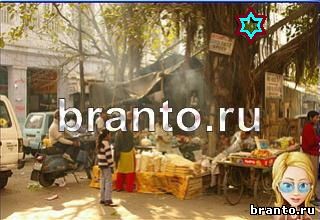 ответы на игру Найди кота Уровень 1432