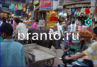 ответы на игру Найди кота Уровень 1434