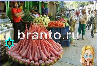 ответы на игру Найди кота Уровень 1437