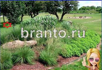 ответы на игру Найди кота Уровень 1770