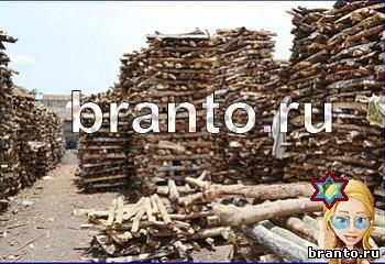 ответы на игру Найди кота Уровень 1887