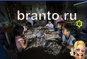 ответы на игру Найди кота Уровень 1903