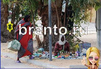 ответы на игру Найди кота Уровень 1915