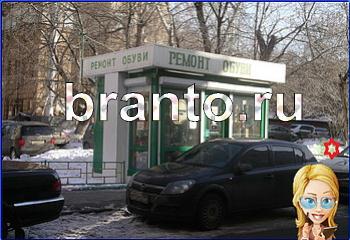 ответы на игру Найди кота Уровень 1916